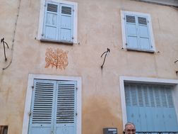 Photo n°1