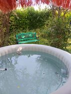 Photo n°5