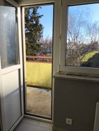Photo n°6