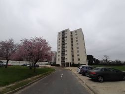 Photo n°1