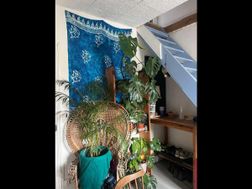 Photo n°4
