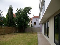 Photo n°5