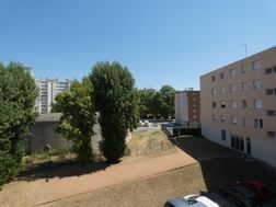 Photo n°6