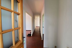 Photo n°6