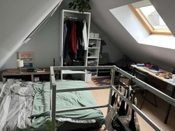 Photo n°4