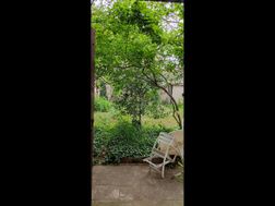 Photo n°2