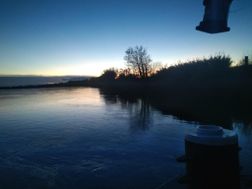 Photo n°1