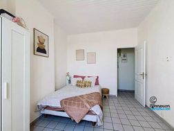 Photo n°6