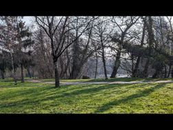 Photo n°14