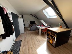 Photo n°4