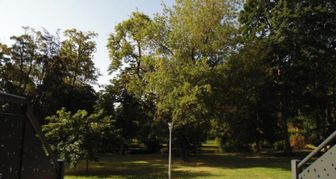 Photo n°4