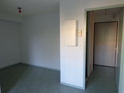 Photo n°3