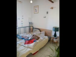 Photo n°7