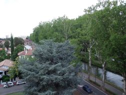 Photo n°4