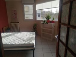Photo n°3