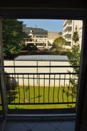 Photo n°6