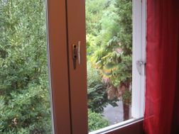 Photo n°8