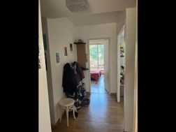 Photo n°4