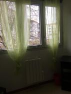 Photo n°5