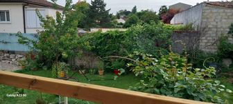 Photo n°4