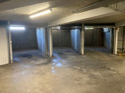 Photo n°8