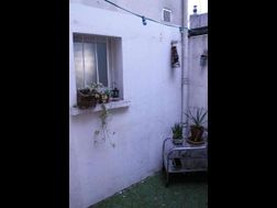 Photo n°8