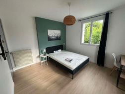 Photo n°8
