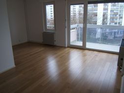 Photo n°4