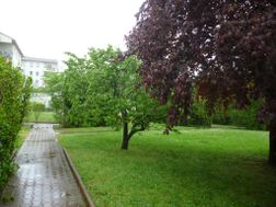 Photo n°1