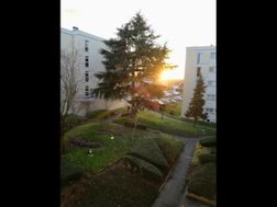 Photo n°2