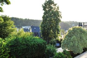 Photo n°6