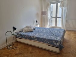 Photo n°8