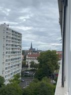 Photo n°6