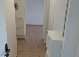 Photo n°6