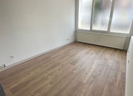 Photo n°4