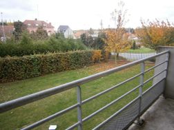 Photo n°4