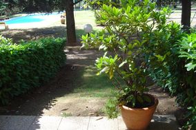 Photo n°4