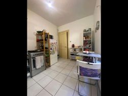Photo n°16