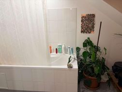 Photo n°6