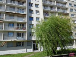 Photo n°8