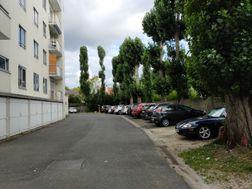 Photo n°10