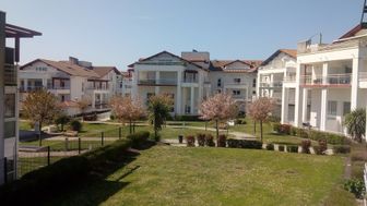 Photo n°1