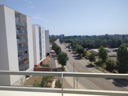 Photo n°6