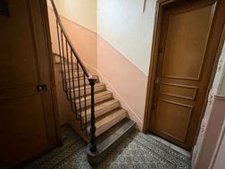 Photo n°8