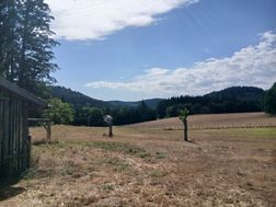 Photo n°3