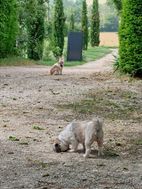 Photo n°3