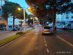 Photo n°9