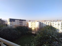 Photo n°7