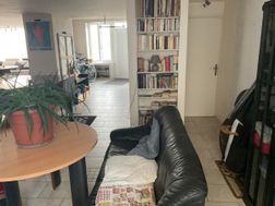 Photo n°8