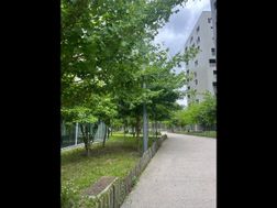Photo n°13